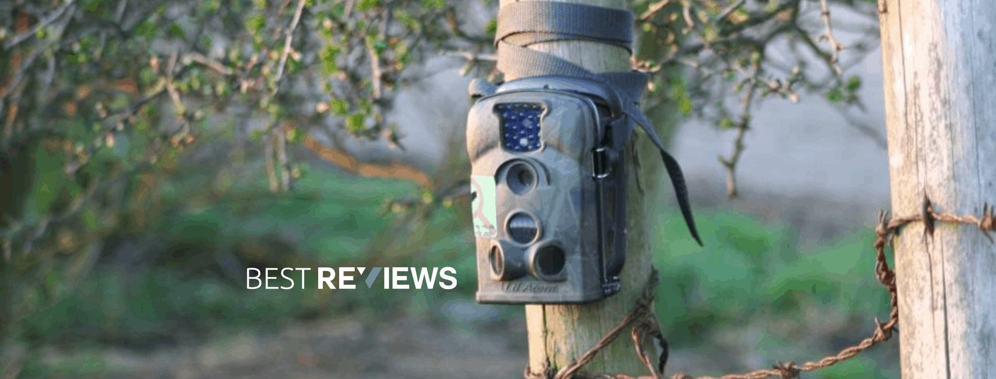 How Do Wildlife Cameras Work? Find Out Here!