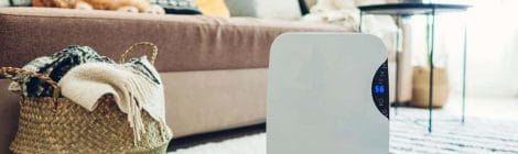 Can You Use A Humidifier & An Air Purifier In The Same Room