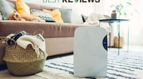 Can You Use A Humidifier & An Air Purifier In The Same Room