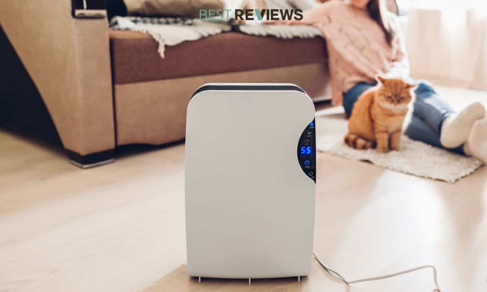 How Long Does It Usually Take For An Air Purifier To Be Effective