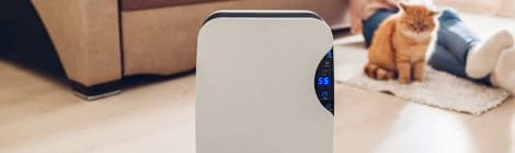 How Long Does It Usually Take For An Air Purifier To Be Effective