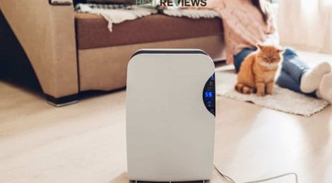 How Long Does It Usually Take For An Air Purifier To Be Effective