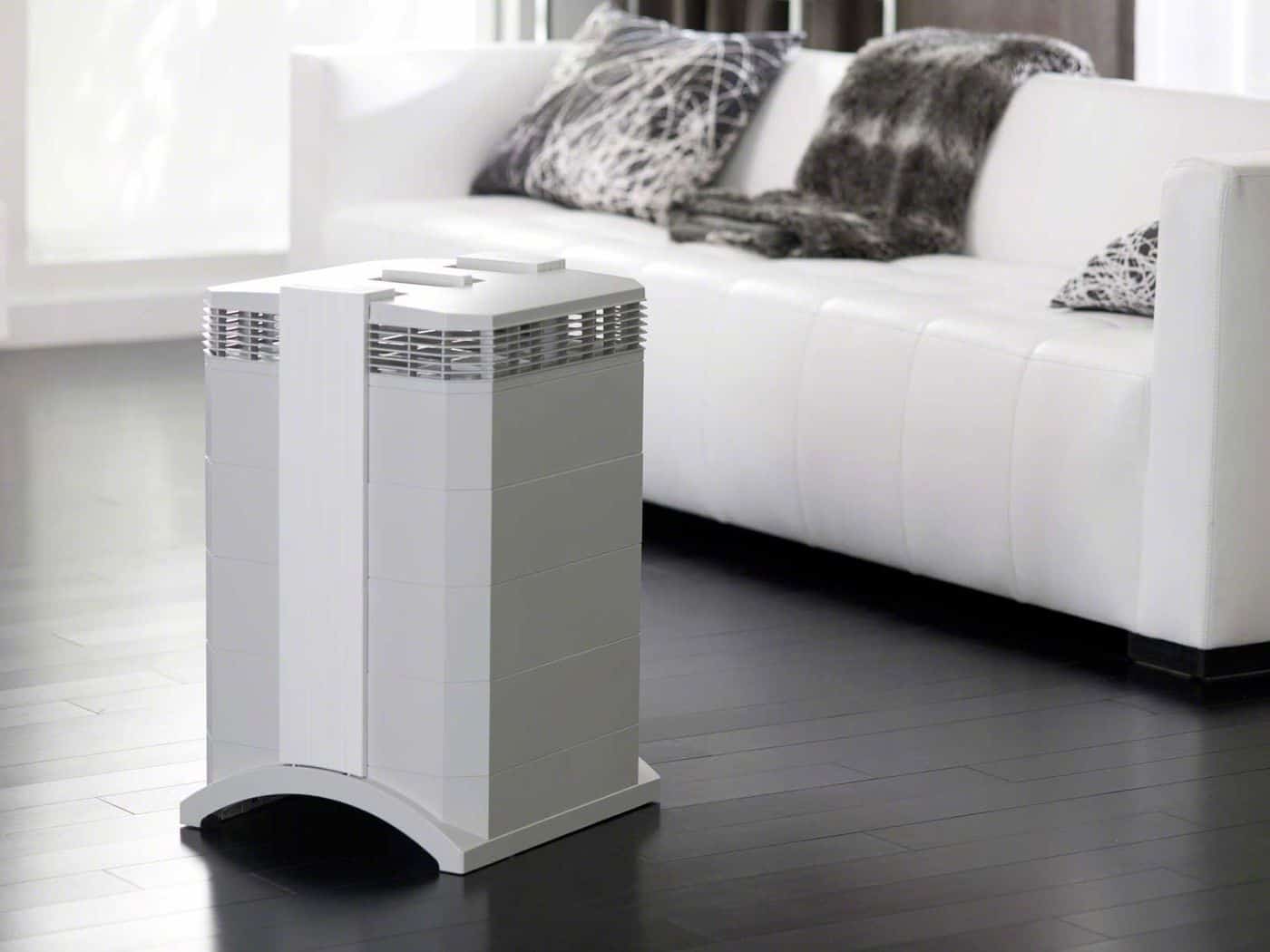 What is an Air Purifier