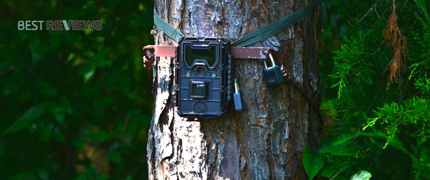 Best Garden Wildlife Cameras Reviews 2021
