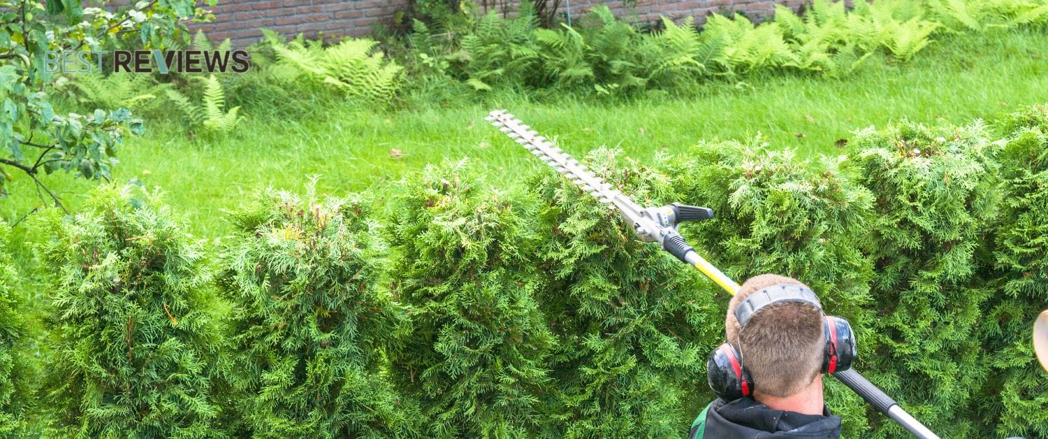 battery hedge trimmer with extension pole pickup today